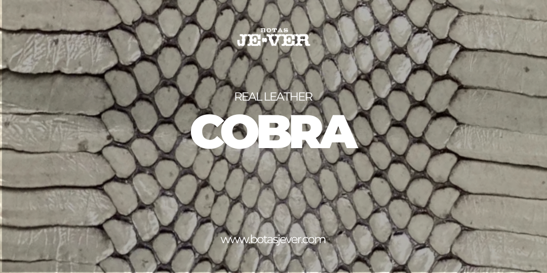 Cuidados | Piel Cobra