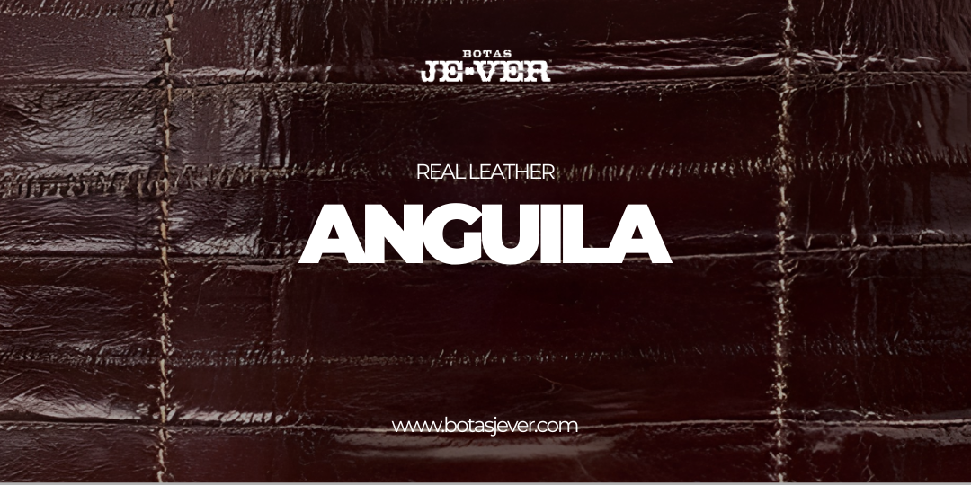 Cuidados | Piel Anguila