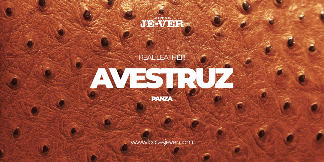 Cuidados | Avestruz: Panza