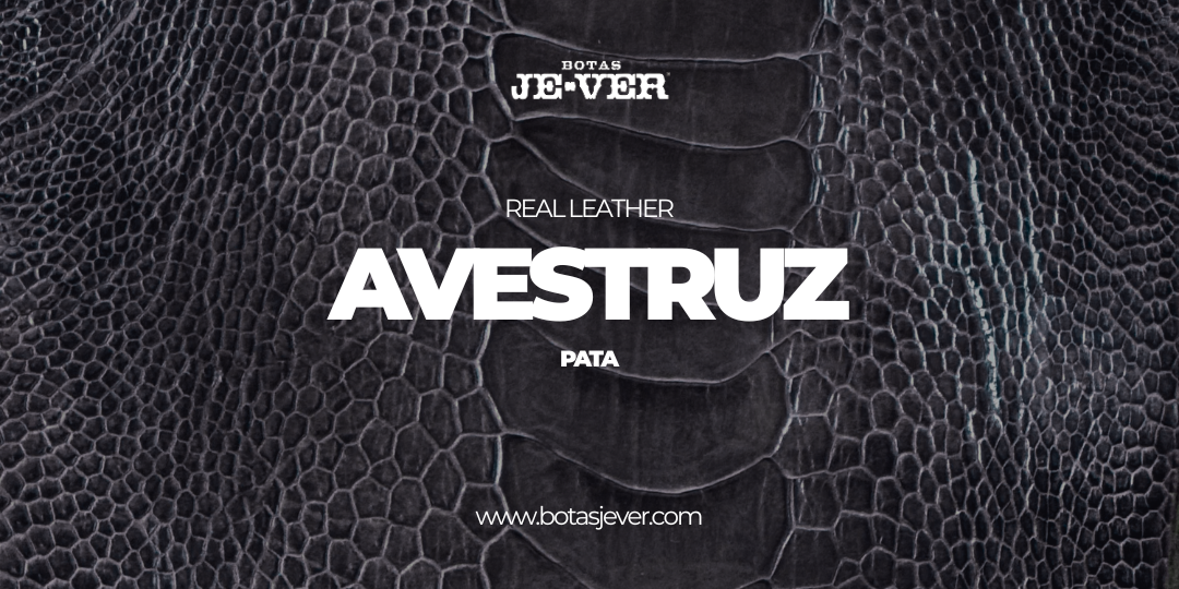 Cuidados | Avestruz: Pata