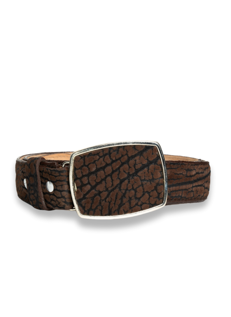 Cinturón Cuello De Toro Exótico Café Cuadrado