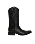 Python Negro Holandesa
