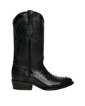 Python Negro Oval
