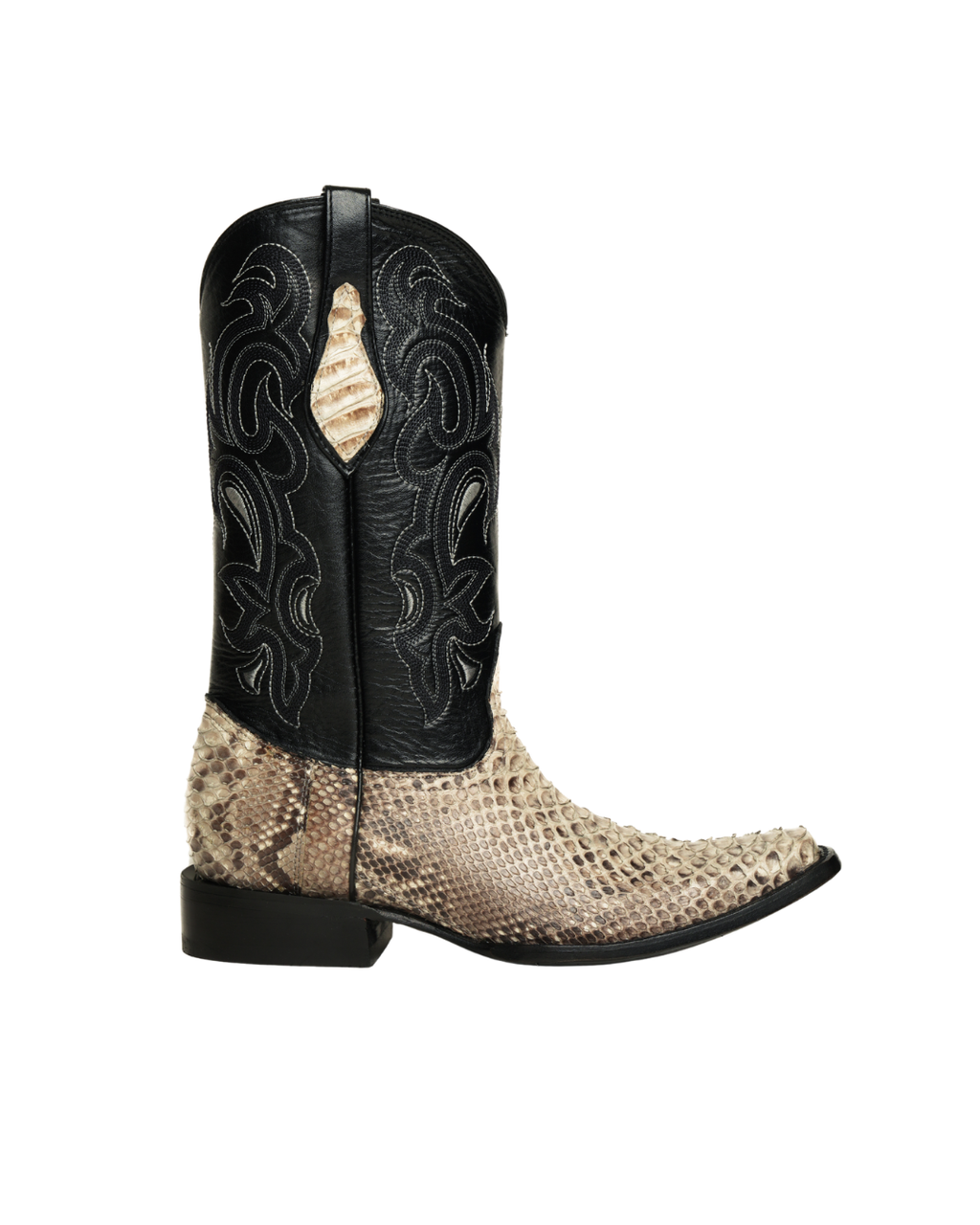 Python Natural Holandesa