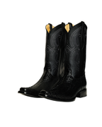Python Negro Holandesa