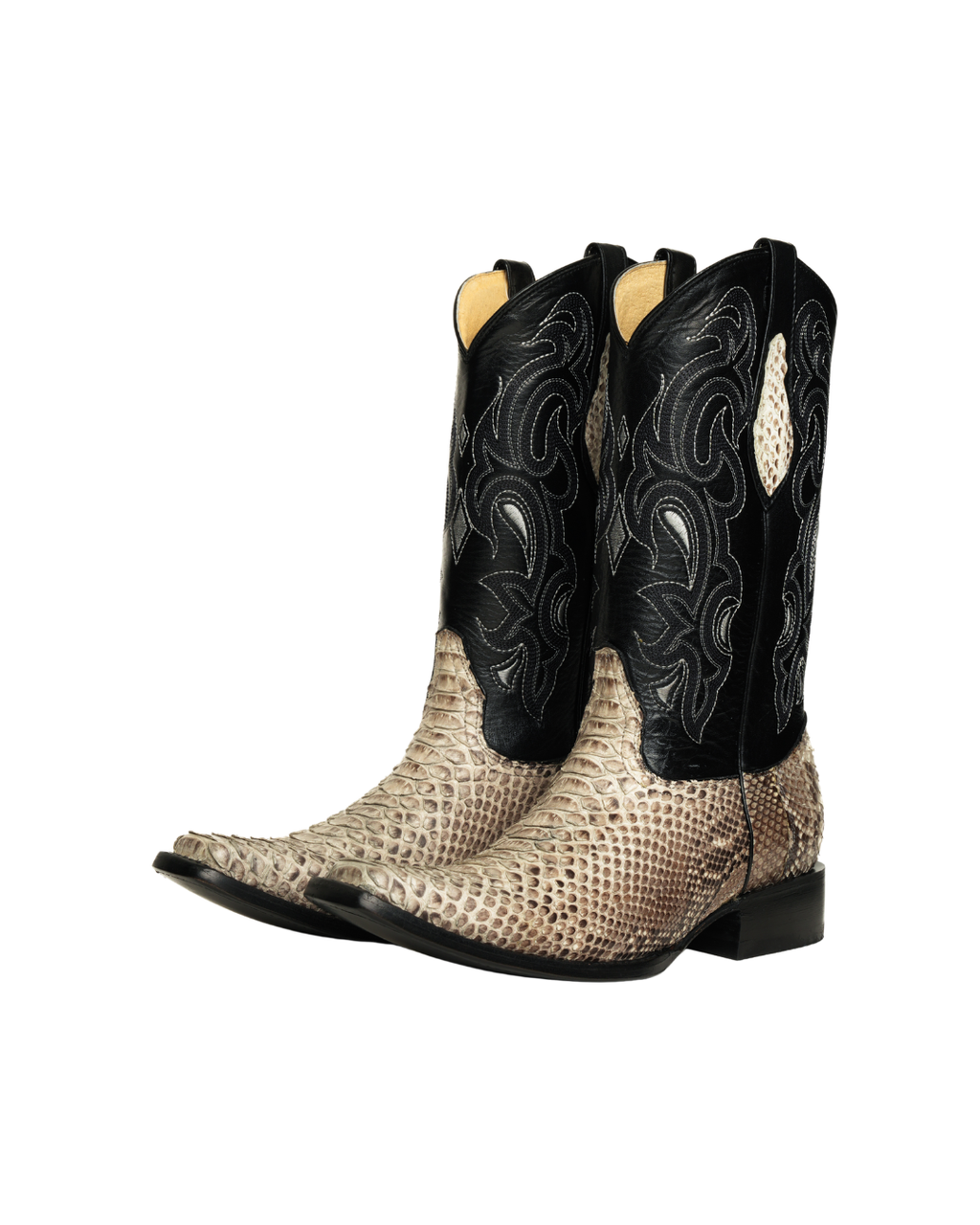 Python Natural Holandesa