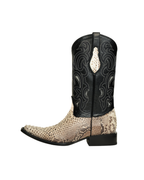 Python Natural Holandesa