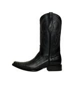 Python Negro Holandesa