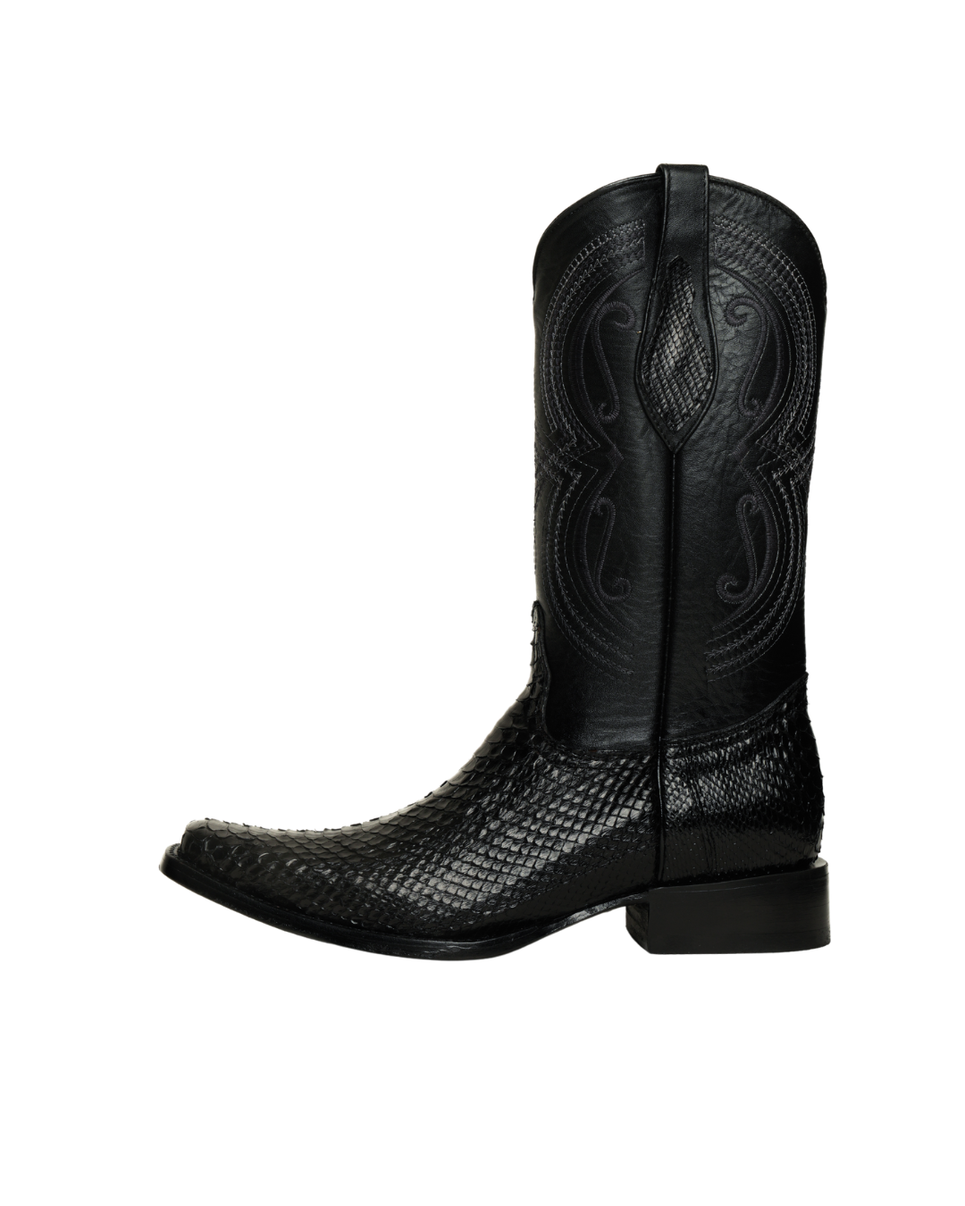 Python Negro Holandesa