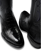 Pata de Avestruz Negro Oval