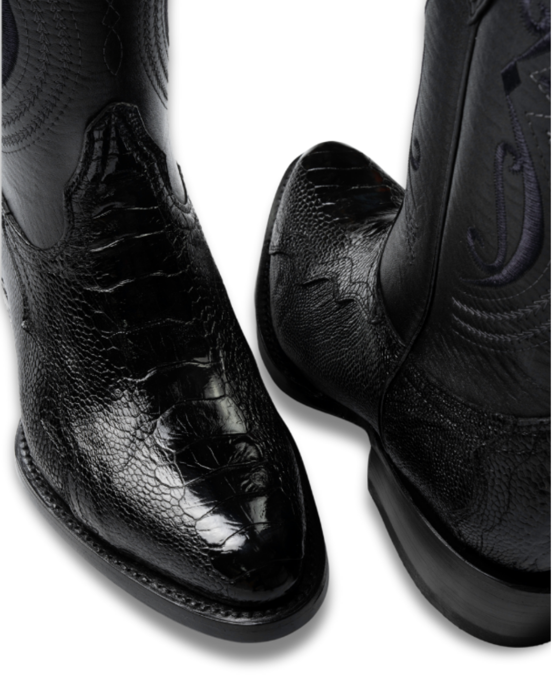 Pata de Avestruz Negro Oval