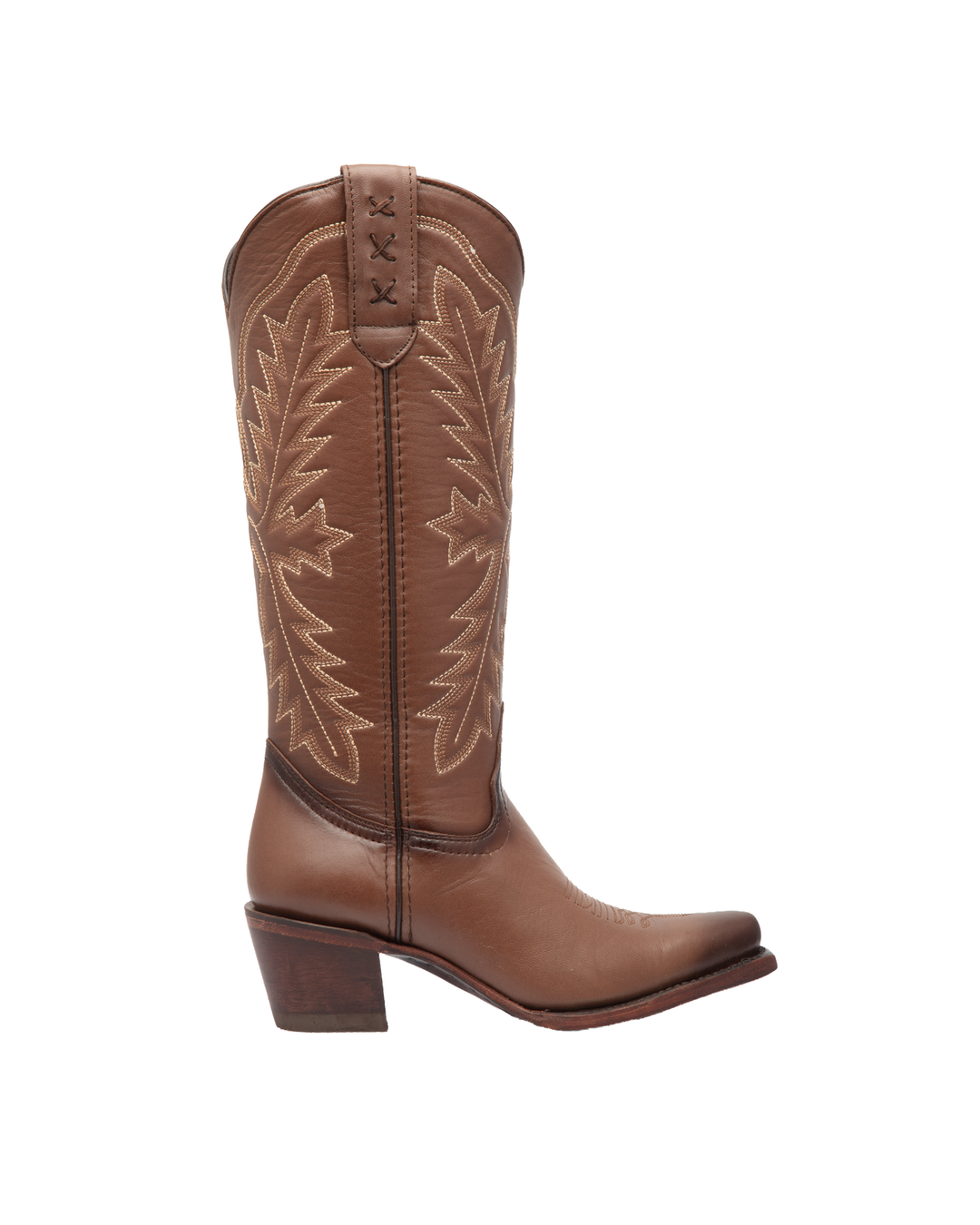Venado americano Brandy Punta X 14
