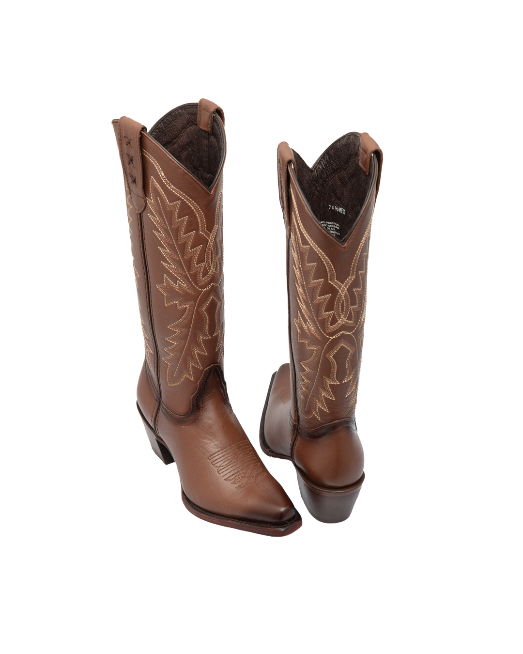Venado americano Brandy Punta X 14
