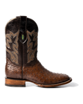 Avestruz 1ra Café Rodeo Texana