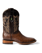 Avestruz 1ra Café Rodeo Texana