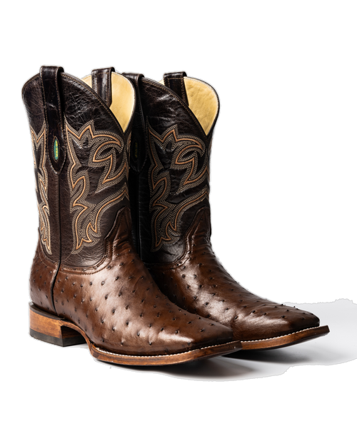 Avestruz 1ra Café Rodeo Texana