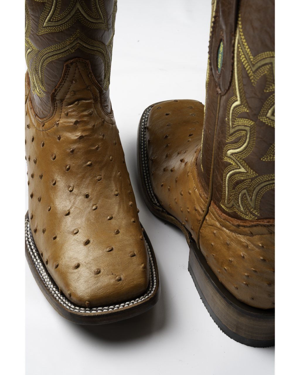 Avestruz 1ra Miel Rodeo Texana