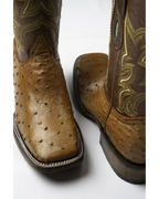 Avestruz 1ra Miel Rodeo Texana