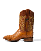 Avestruz 1ra Miel Rodeo Texana