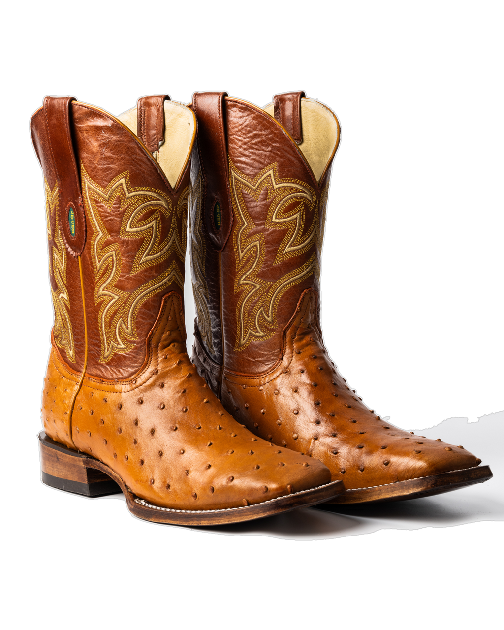 Avestruz 1ra Miel Rodeo Texana