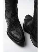 Avestruz 1ra Negro Oval