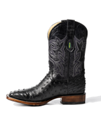 Avestruz 1ra Negro Rodeo Texana