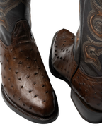 Avestruz 1ra Café Oval