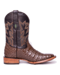 Cocodrilo Belly Café Rodeo Texana