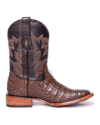 Cocodrilo Belly Café Rodeo Texana