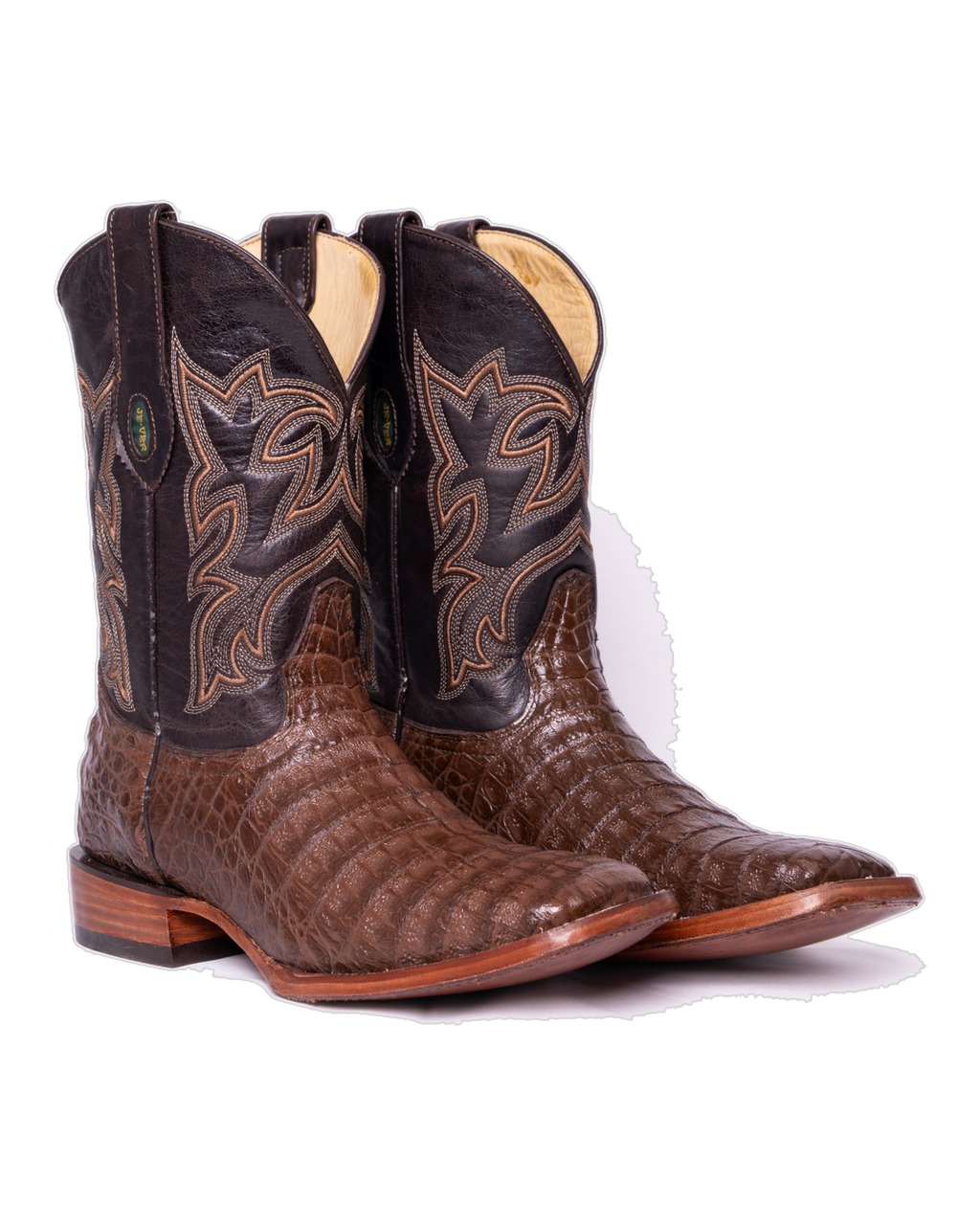 Cocodrilo Belly Café Rodeo Texana