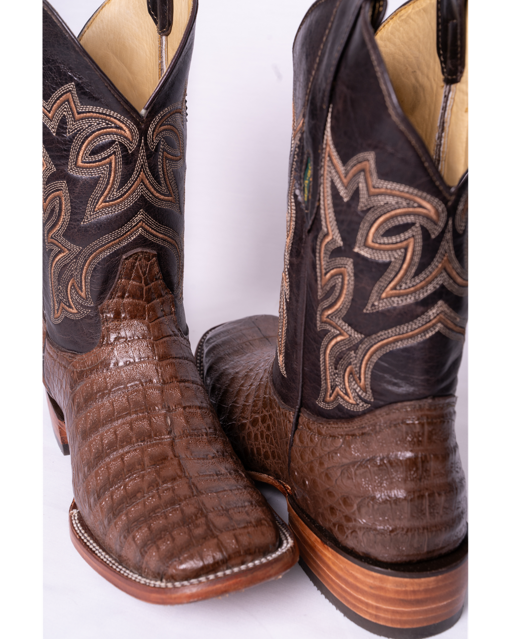 Cocodrilo Belly Café Rodeo Texana