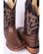 Cocodrilo Belly Café Rodeo Texana