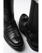 Cocodrilo Belly Negro Suizo