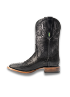 Python Negro Rodeo Texana
